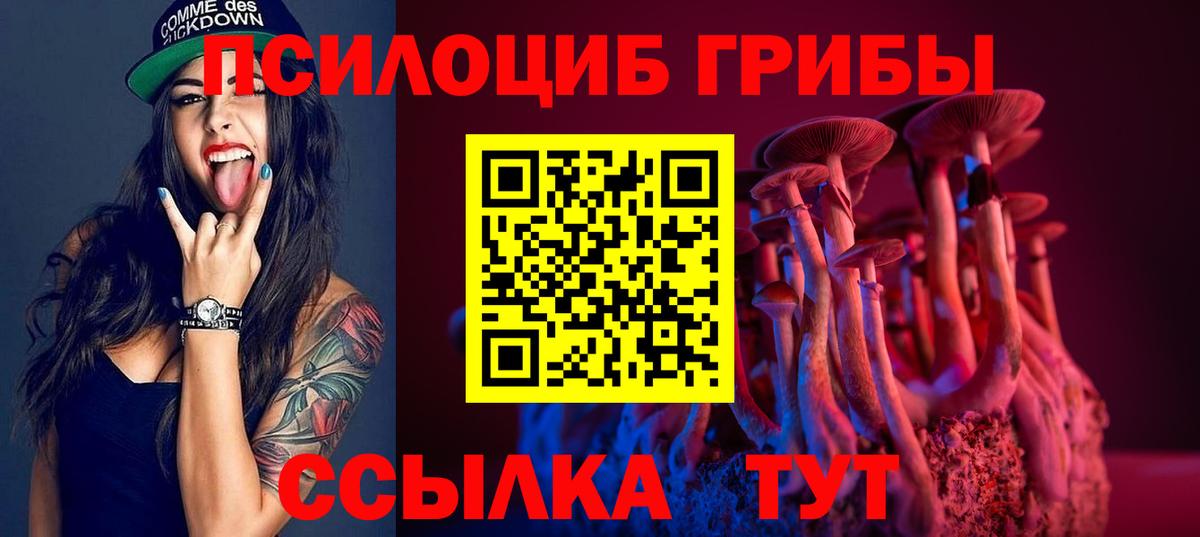 Карпинск  Псилоцибиновые грибы прущие грибы  Псилоцибиновые грибы Psilocybe  Вход с VPN 